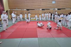 IMG-20251129-WA0024